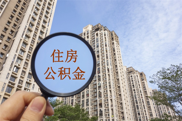 桦甸深圳公积金（深圳公积金首页）